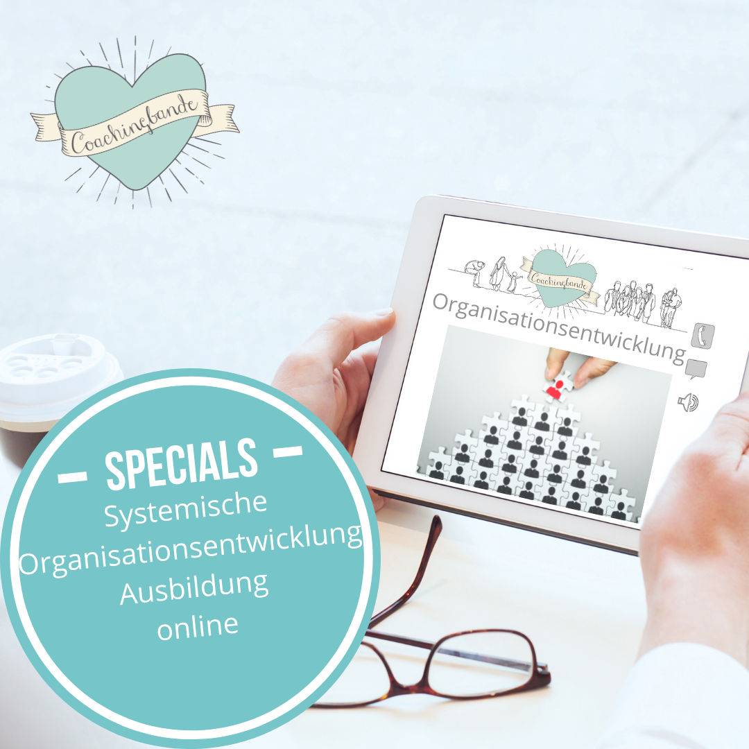Systemische OE Ausbildung